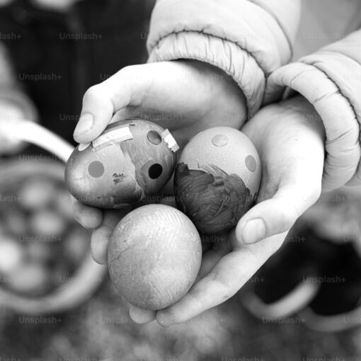 Stage multidisciplinaire pour les enfants