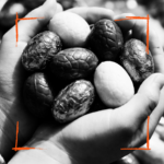 Stage multidisciplinaire pour les enfants à Liège